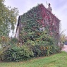 Willow Tree Services - Willow Tree Services - before