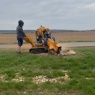 Willow Tree Services