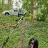 Willow Tree Services